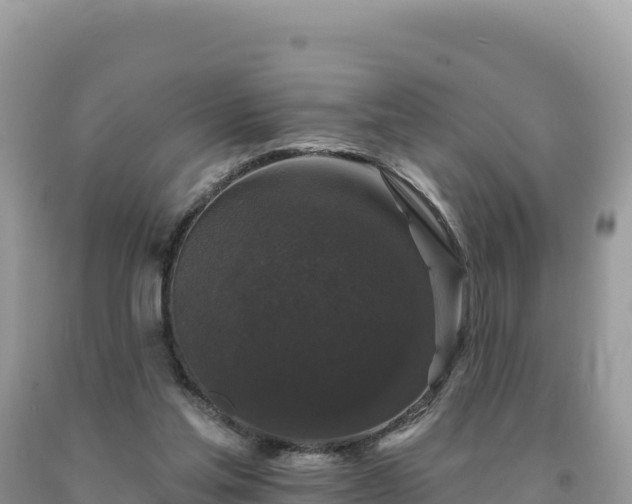 X0000093740205200710231218