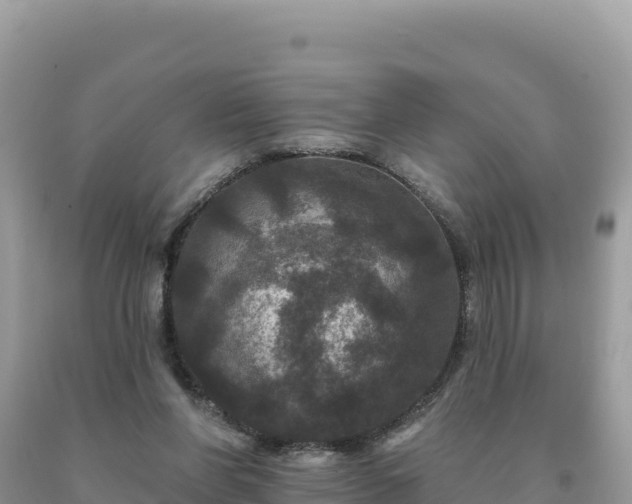 X0000093740206200710231218