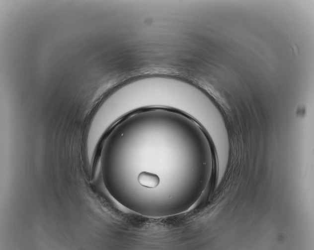 X0000093740207200710231218