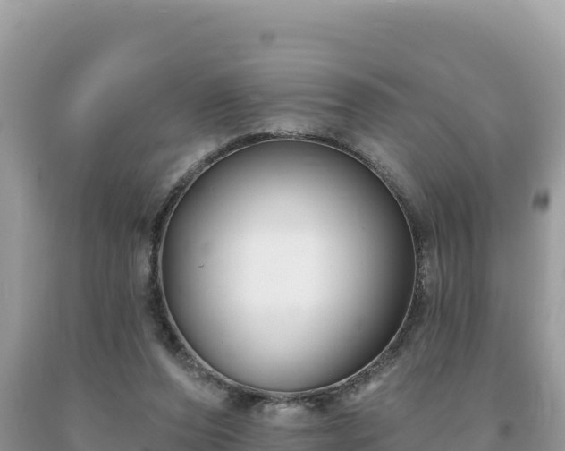 X0000093740208200710231218