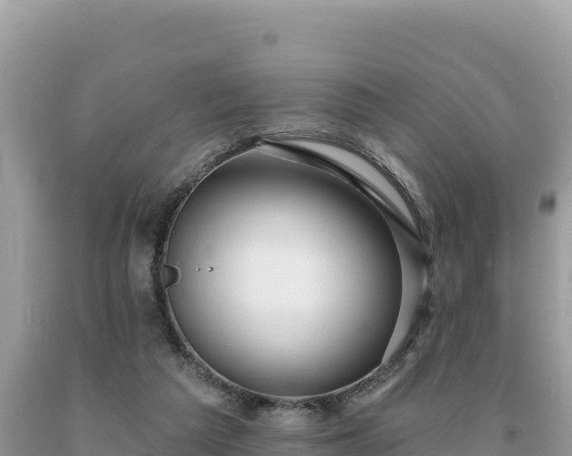 X0000093740209200710231218