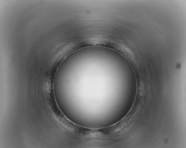 X0000093740210200710231218