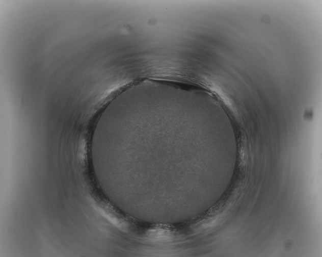 X0000093740211200710231218