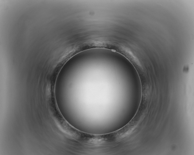 X0000093740213200710231218