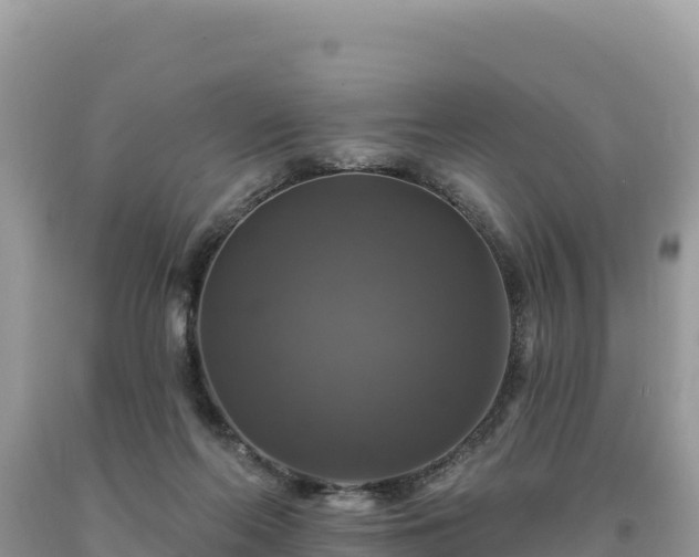 X0000093740214200710231218