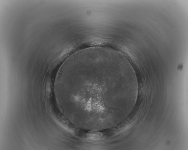 X0000093740215200710231218