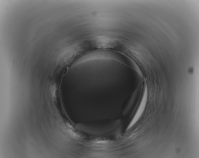 X0000093740219200710231218