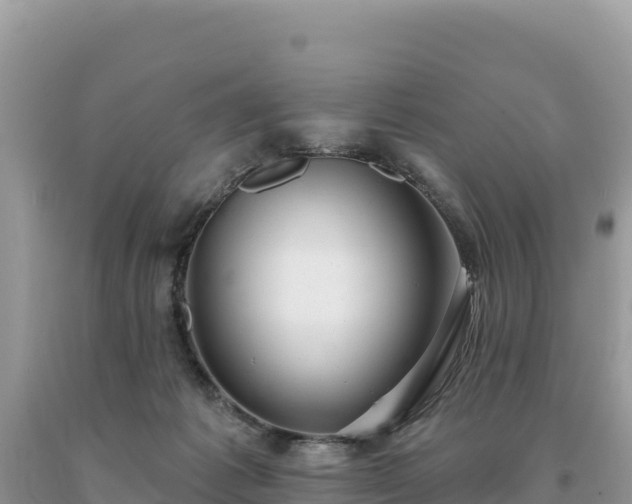 X0000093740221200710231218