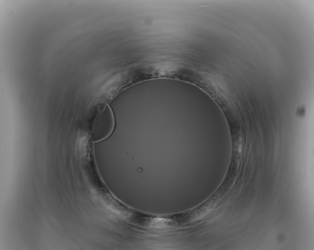 X0000093740222200710231218