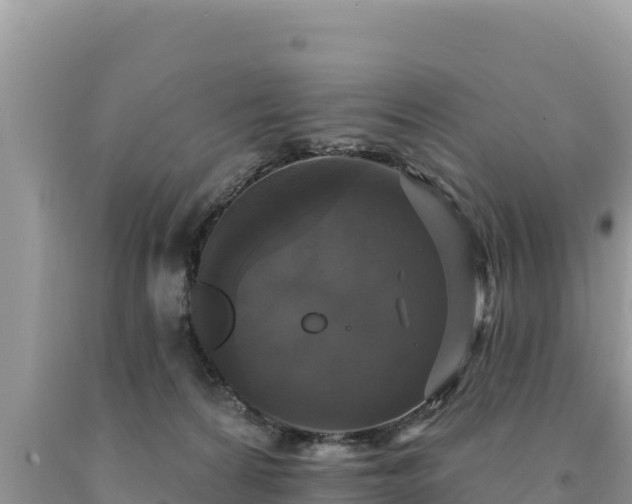 X0000093740224200710231218