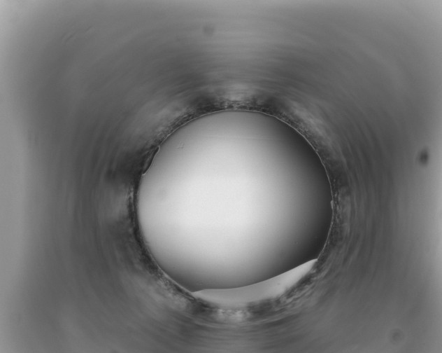 X0000093740225200710231218