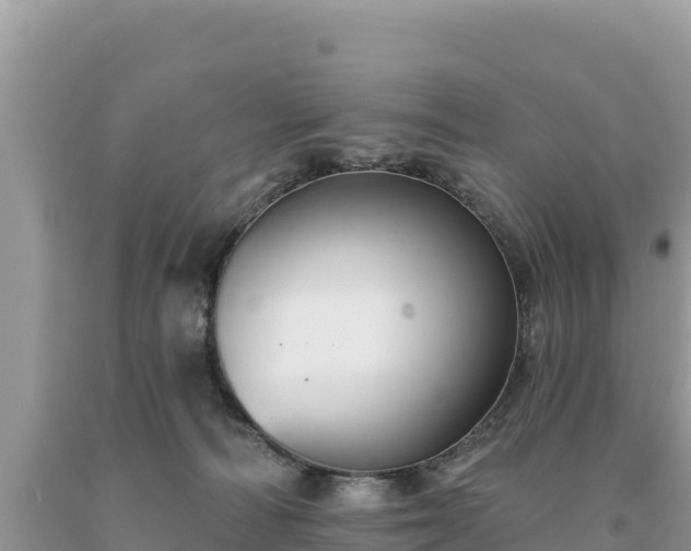 X0000093740226200710231218