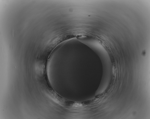 X0000093740227200710231218