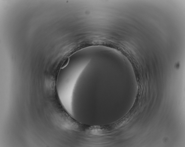 X0000093740228200710231218