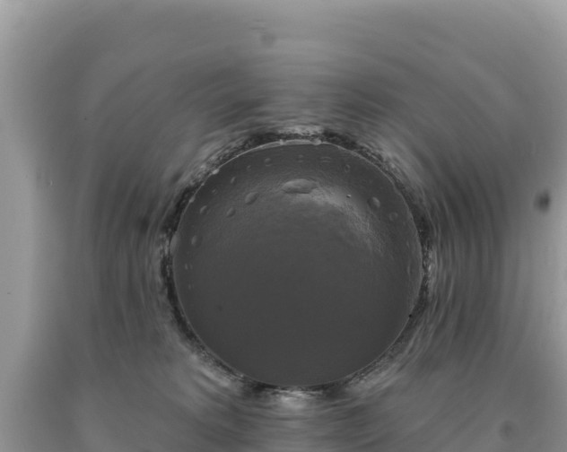 X0000093740229200710231218