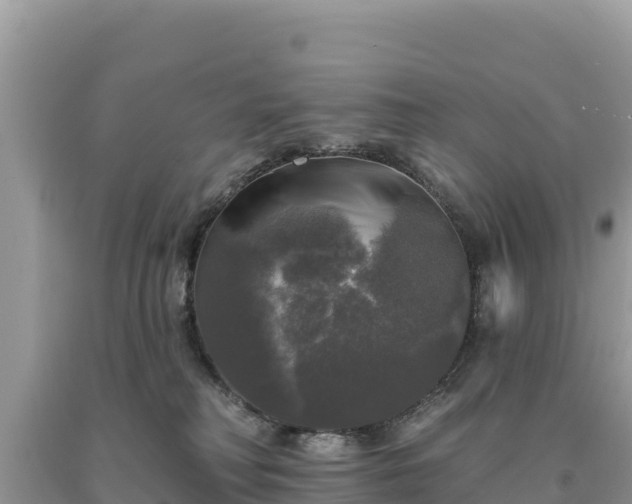 X0000093740230200710231218