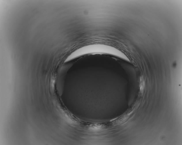 X0000093740235200710231218