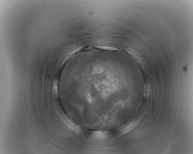 X0000093740238200710231218