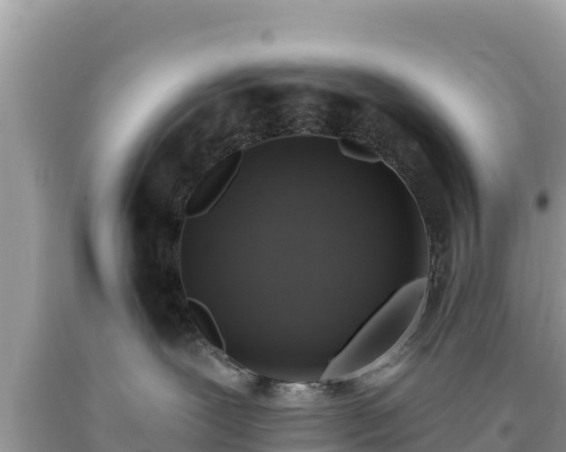 X0000093740239200710231218