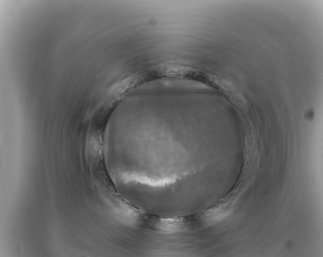 X0000093740240200710231218