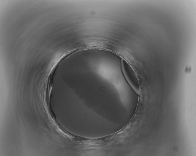 X0000093740241200710231217