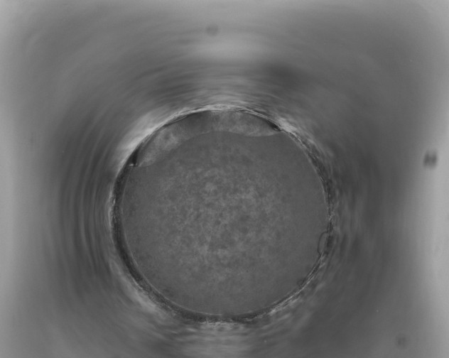 X0000093740242200710231217