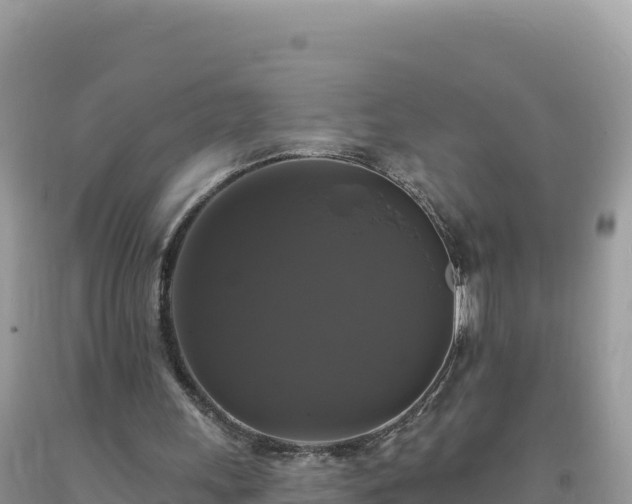 X0000093740243200710231217