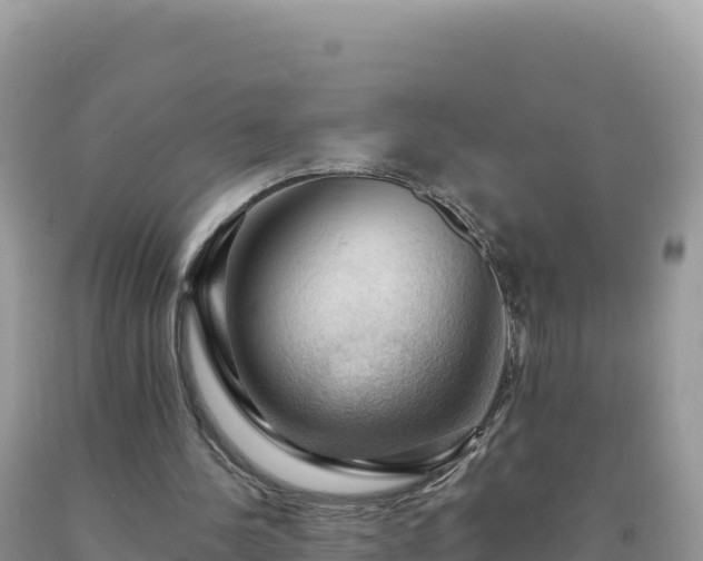 X0000093740244200710231217