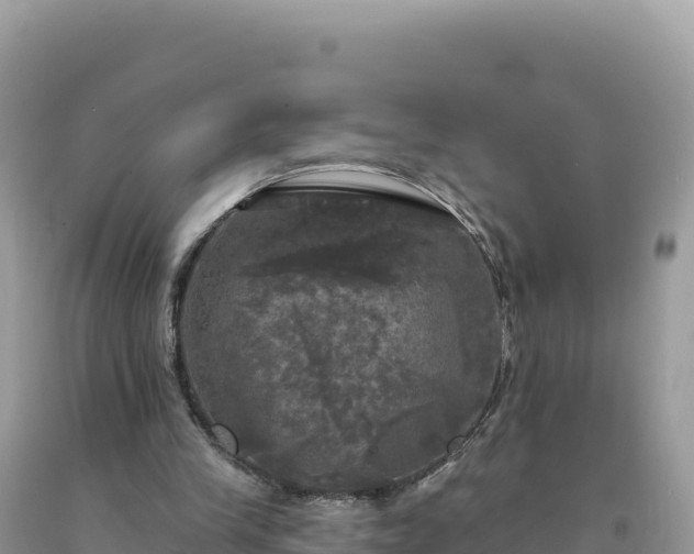 X0000093740245200710231217