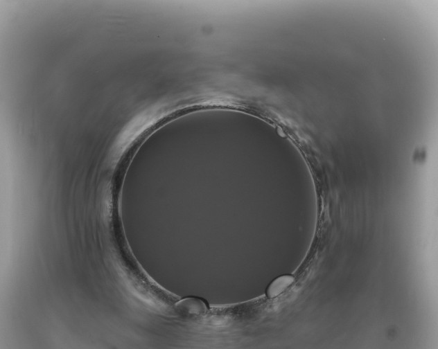 X0000093740247200710231217