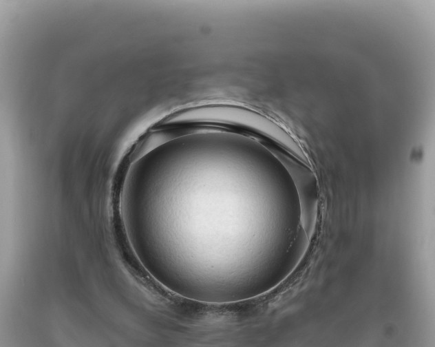 X0000093740248200710231217