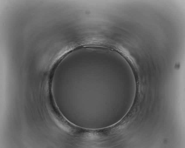 X0000093740250200710231217