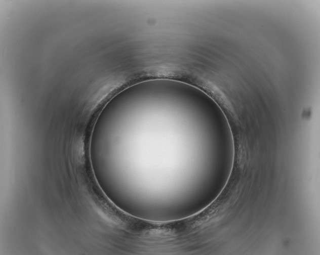 X0000093740251200710231217