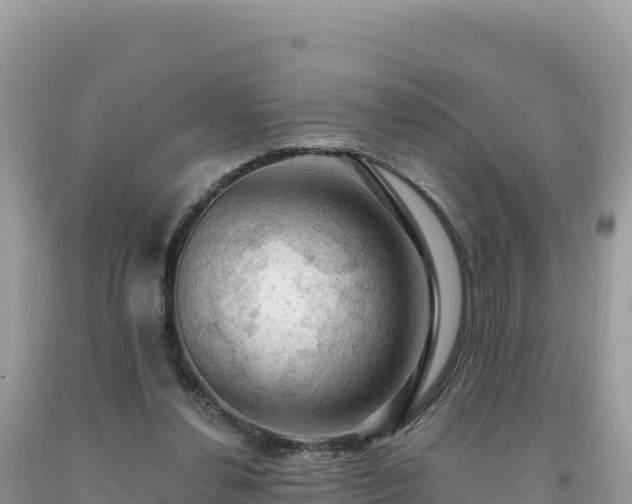 X0000093740252200710231217