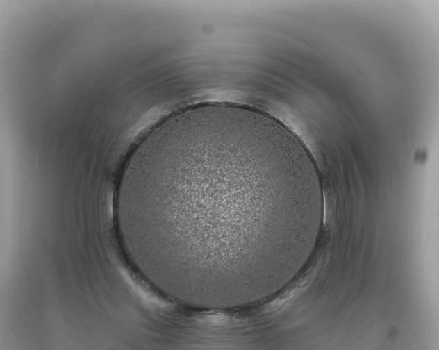 X0000093740253200710231217