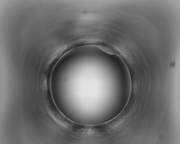 X0000093740254200710231217