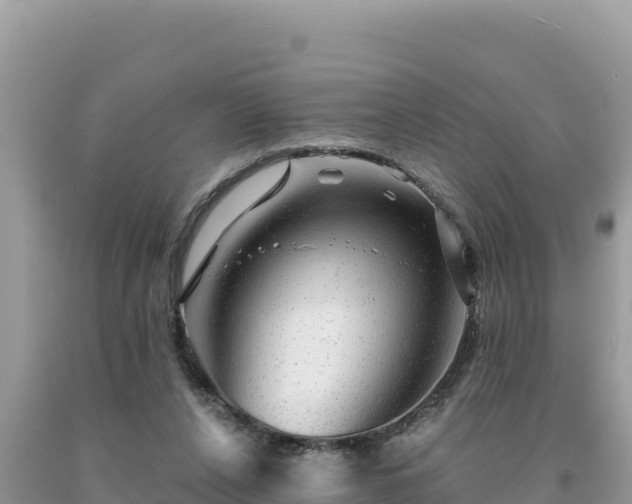 X0000093740256200710231217