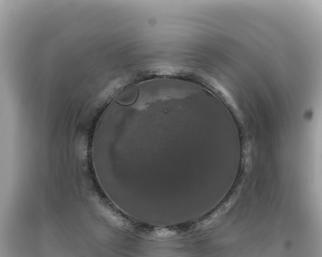 X0000093740257200710231217