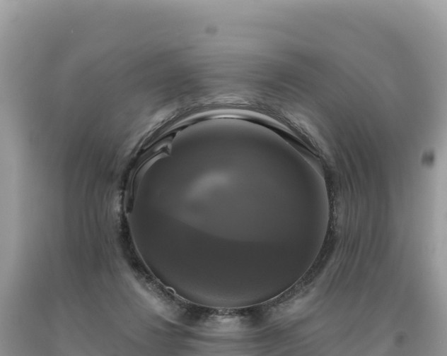 X0000093740260200710231217