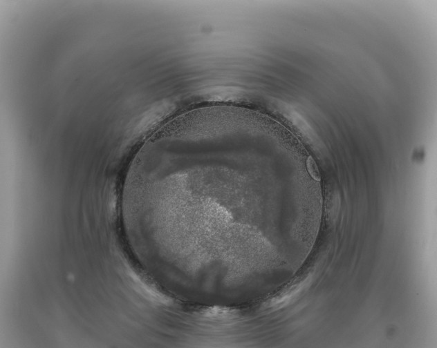 X0000093740261200710231217