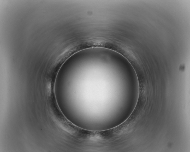 X0000093740262200710231217