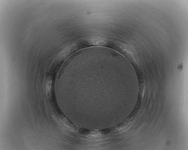 X0000093740263200710231217