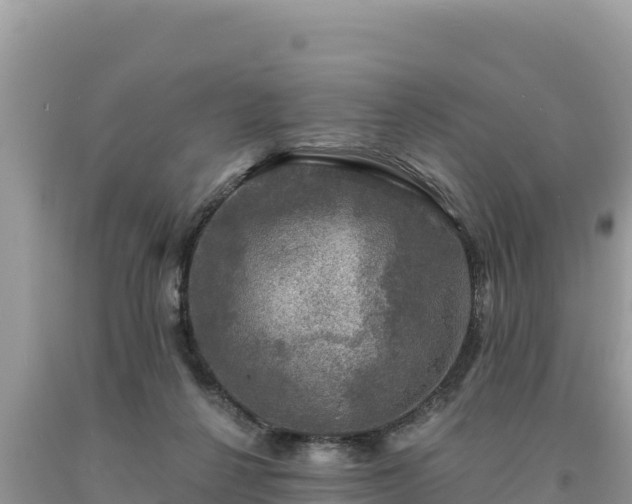 X0000093740264200710231217