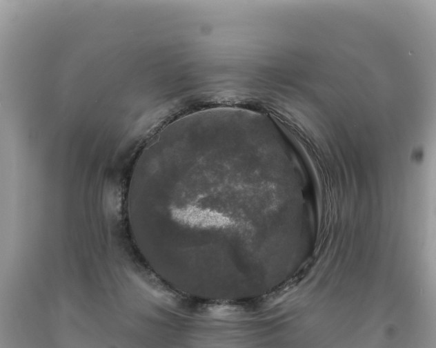 X0000093740268200710231217