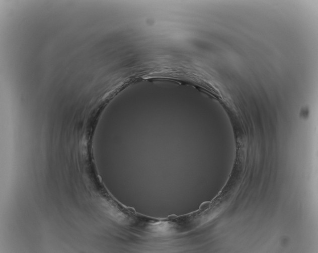 X0000093740269200710231217