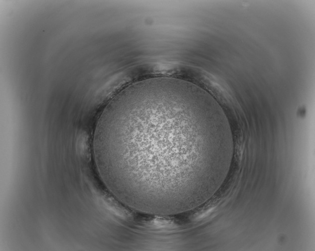 X0000093740270200710231217