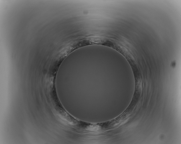 X0000093740271200710231217