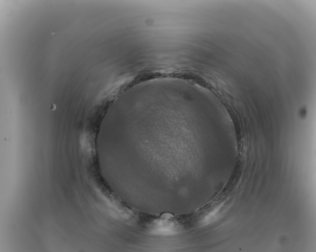 X0000093740272200710231217