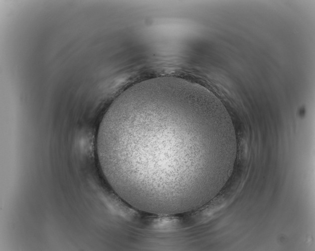 X0000093740274200710231217