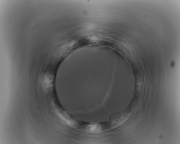 X0000093740275200710231217